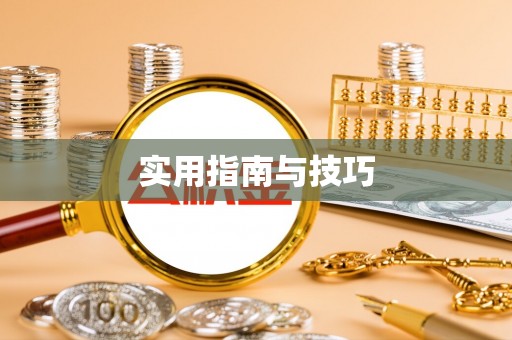 船山实用指南与技巧