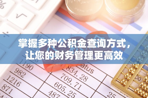 船山掌握多种公积金查询方式，让您的财务管理更高效