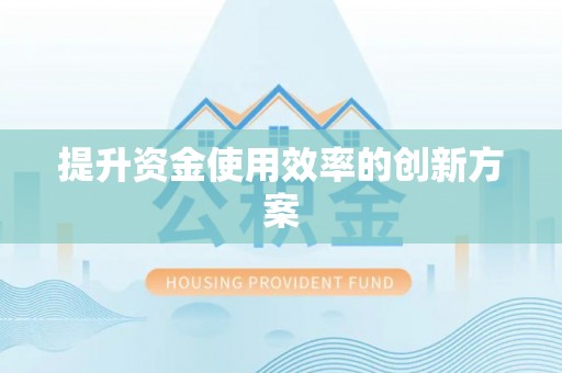 船山提升资金使用效率的创新方案
