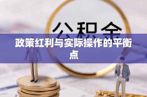 船山政策红利与实际操作的平衡点