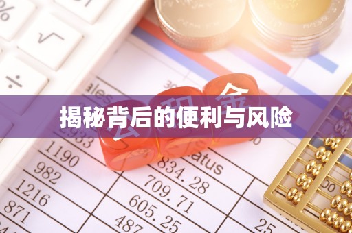 船山揭秘背后的便利与风险